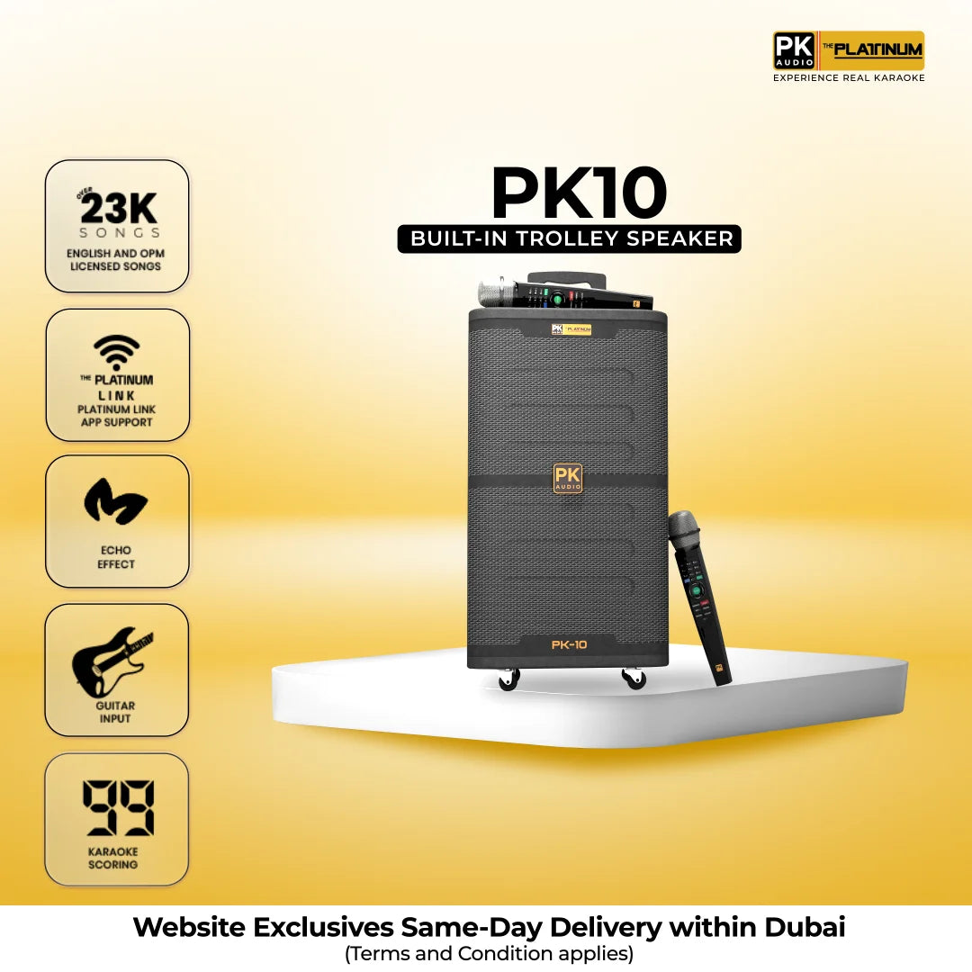 platinum karaoke pk10, best bluetooth speaker