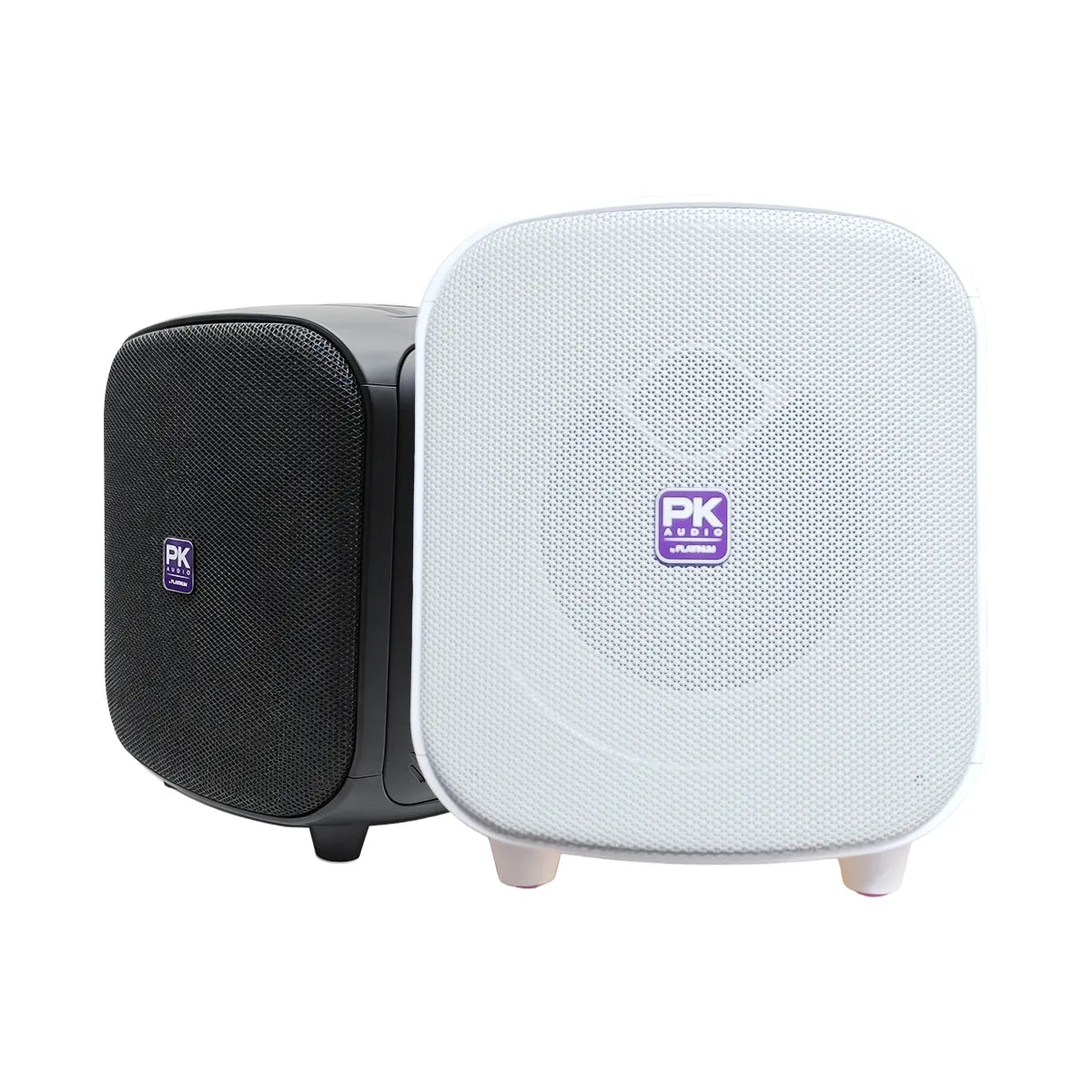 AK120 Bluetooth Party Speaker