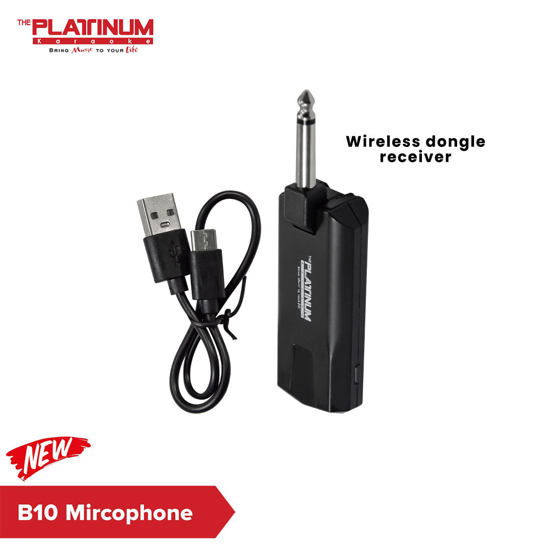 B10 Portable Wireless Microphone