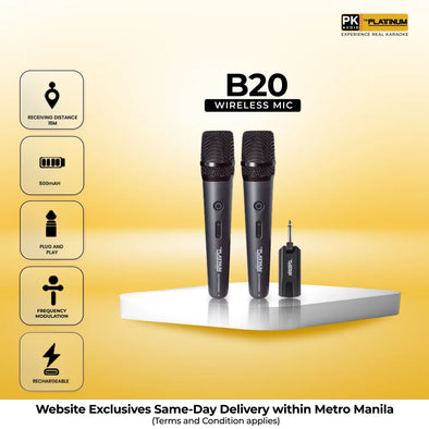 B20 Portable Wireless Microphone