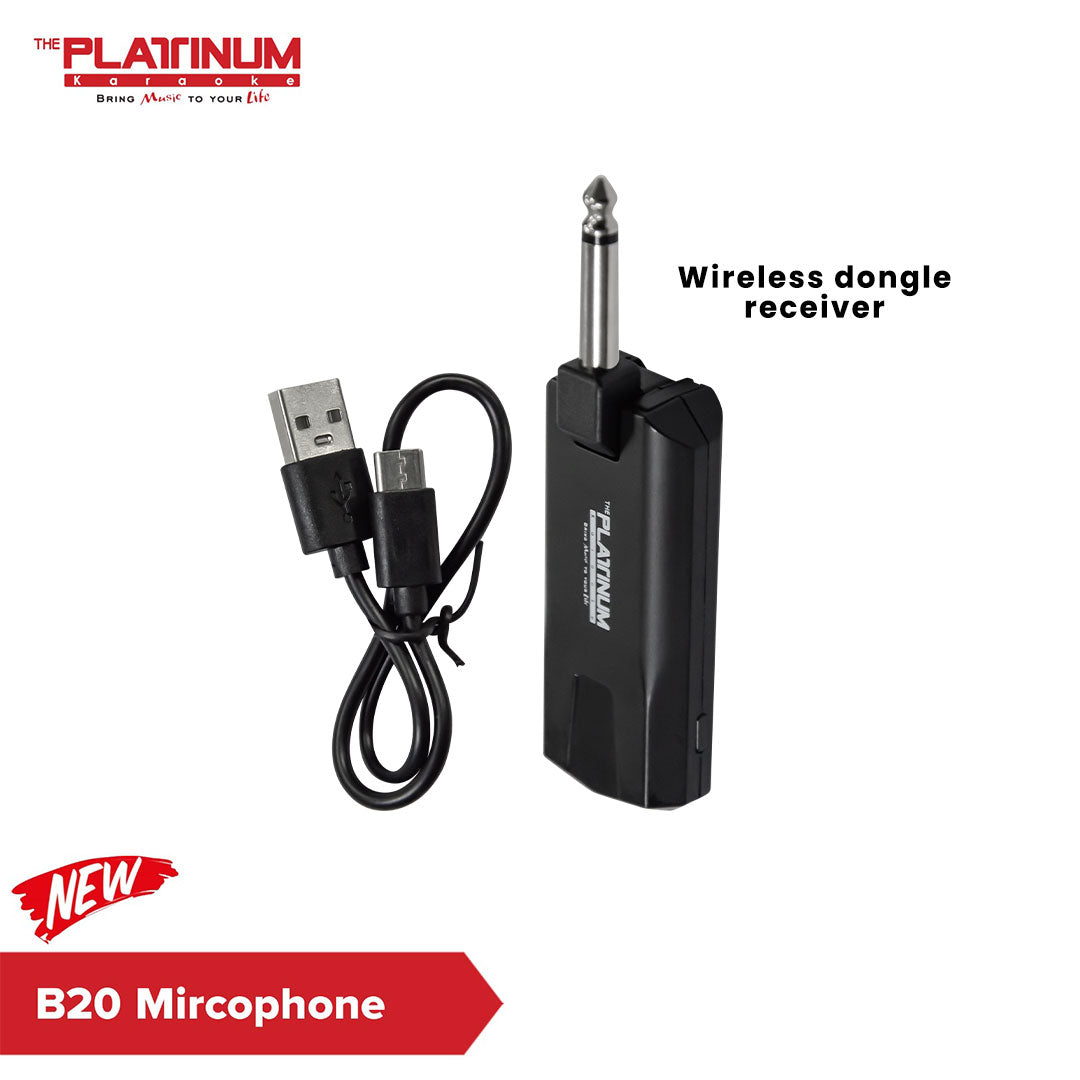 B20 Portable Wireless Microphone